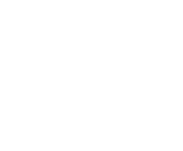 Evolution games at Nopeampi Casino